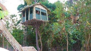 Build Tree House In Wild  To Avoid Wildlife