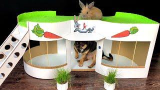 How to Make Amazing Pet House from Cardboard - House for Rabbit