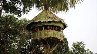 Build An AMazing Round Hut Around Palmyra Palm Tree - Round House Making By Smart Village Boys