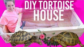 DIY Tortoise House |  How To Build Huge Tortoise House Enclosure